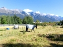 queenstown (22)